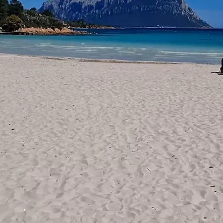 House * Porto Istana